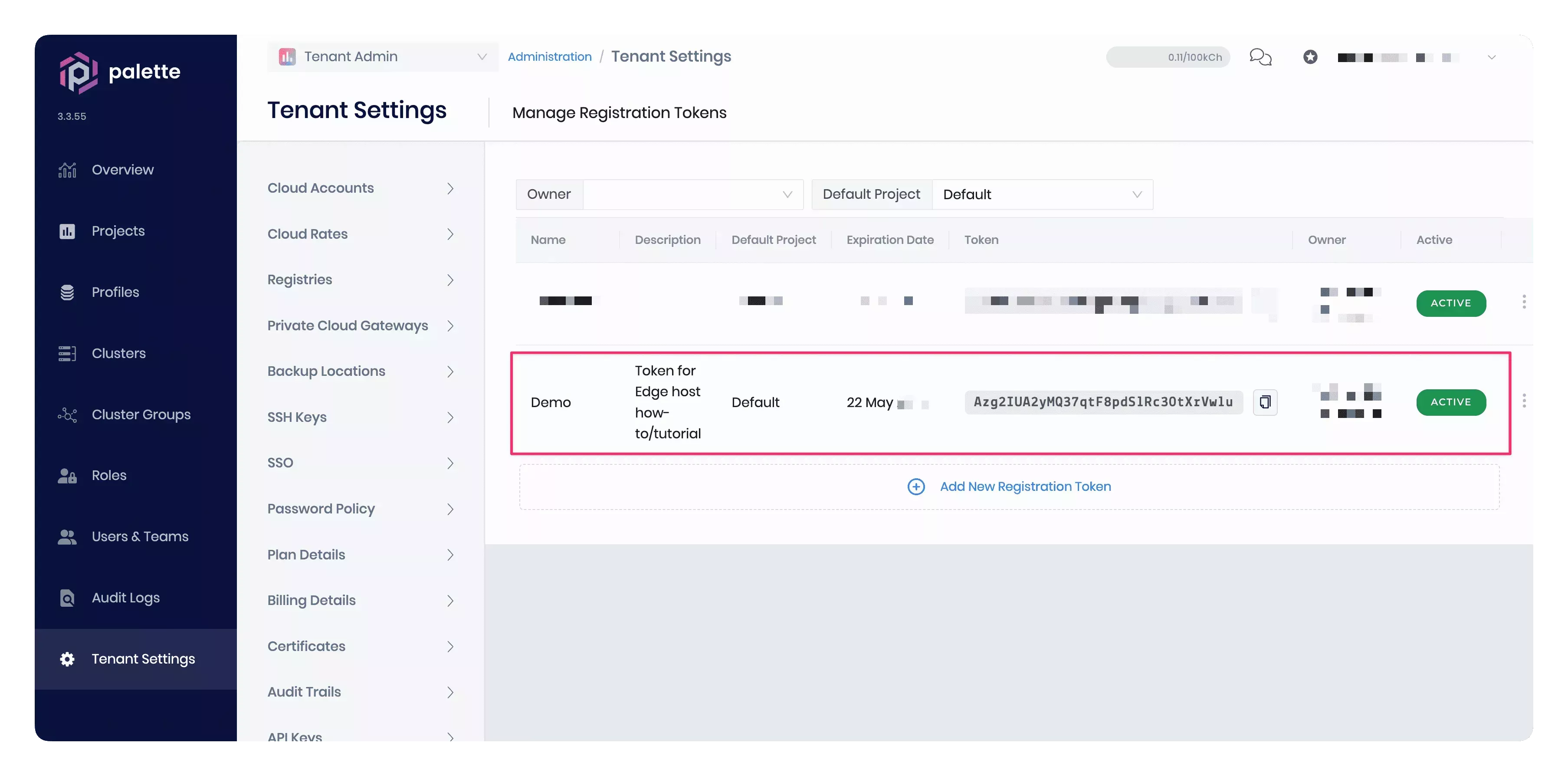 A screenshot of a registration token in Palette